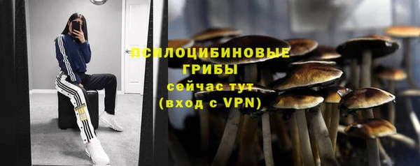 молекула духа Балахна