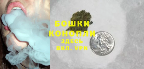 дживик Баксан
